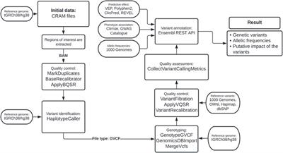 Frequencies of variants in genes associated with dyslipidemias identified in Costa Rican genomes